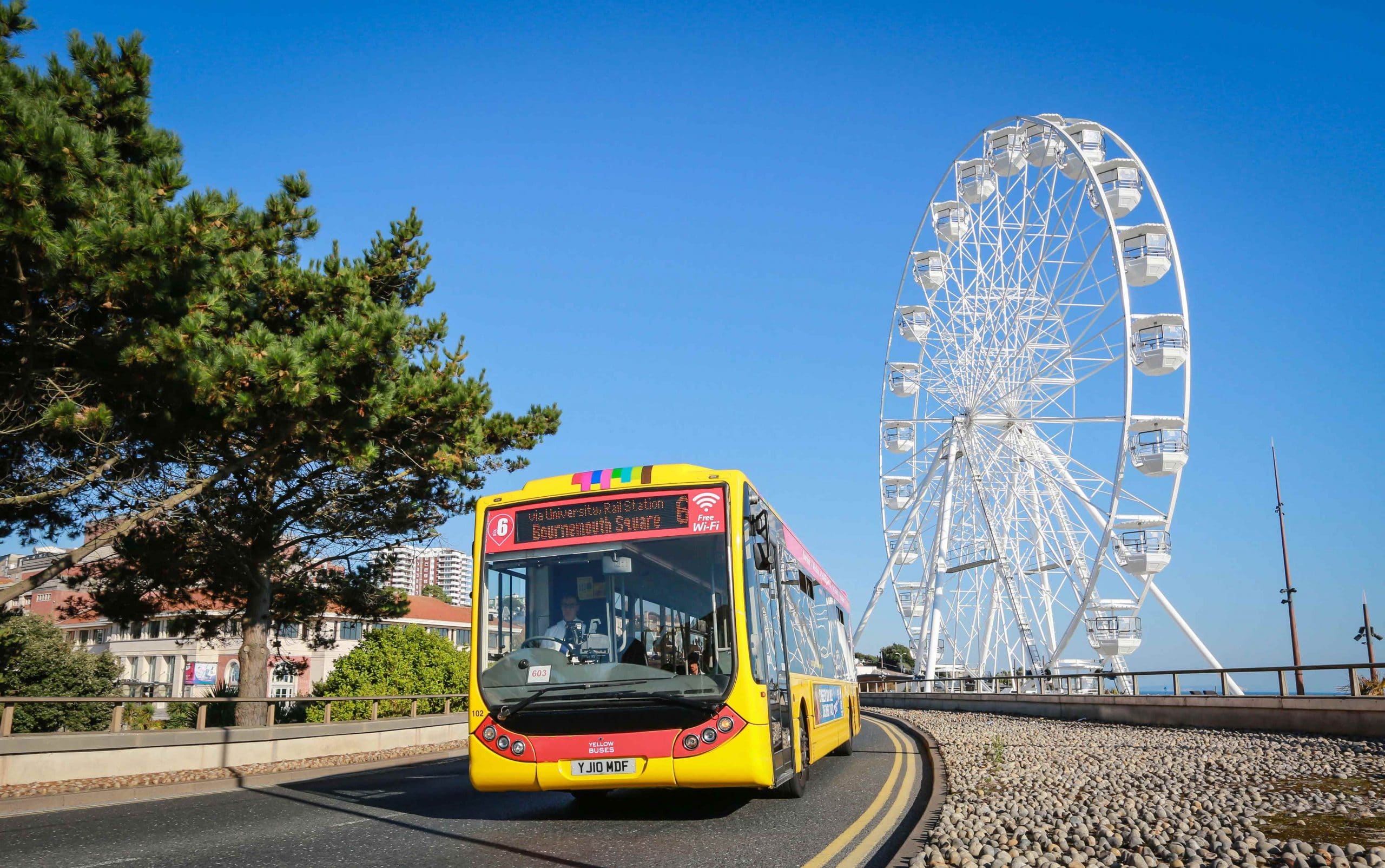 Yellow buses Passenger beach image