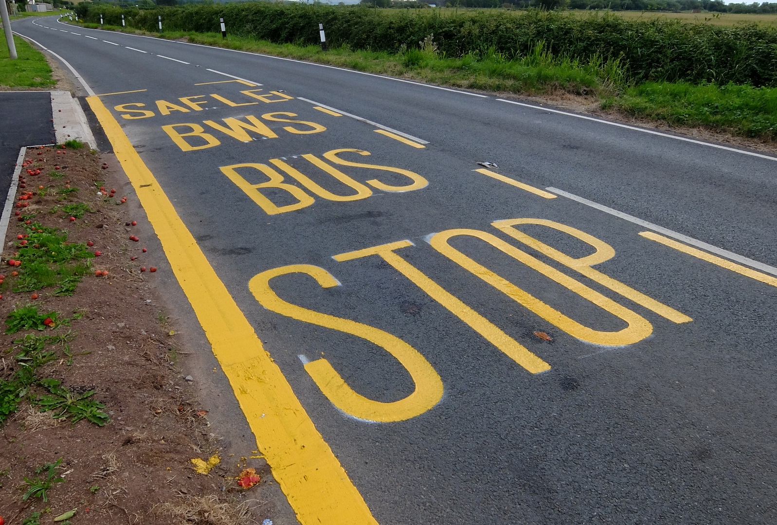 Skeleton bus service threat in Wales draws grave concerns