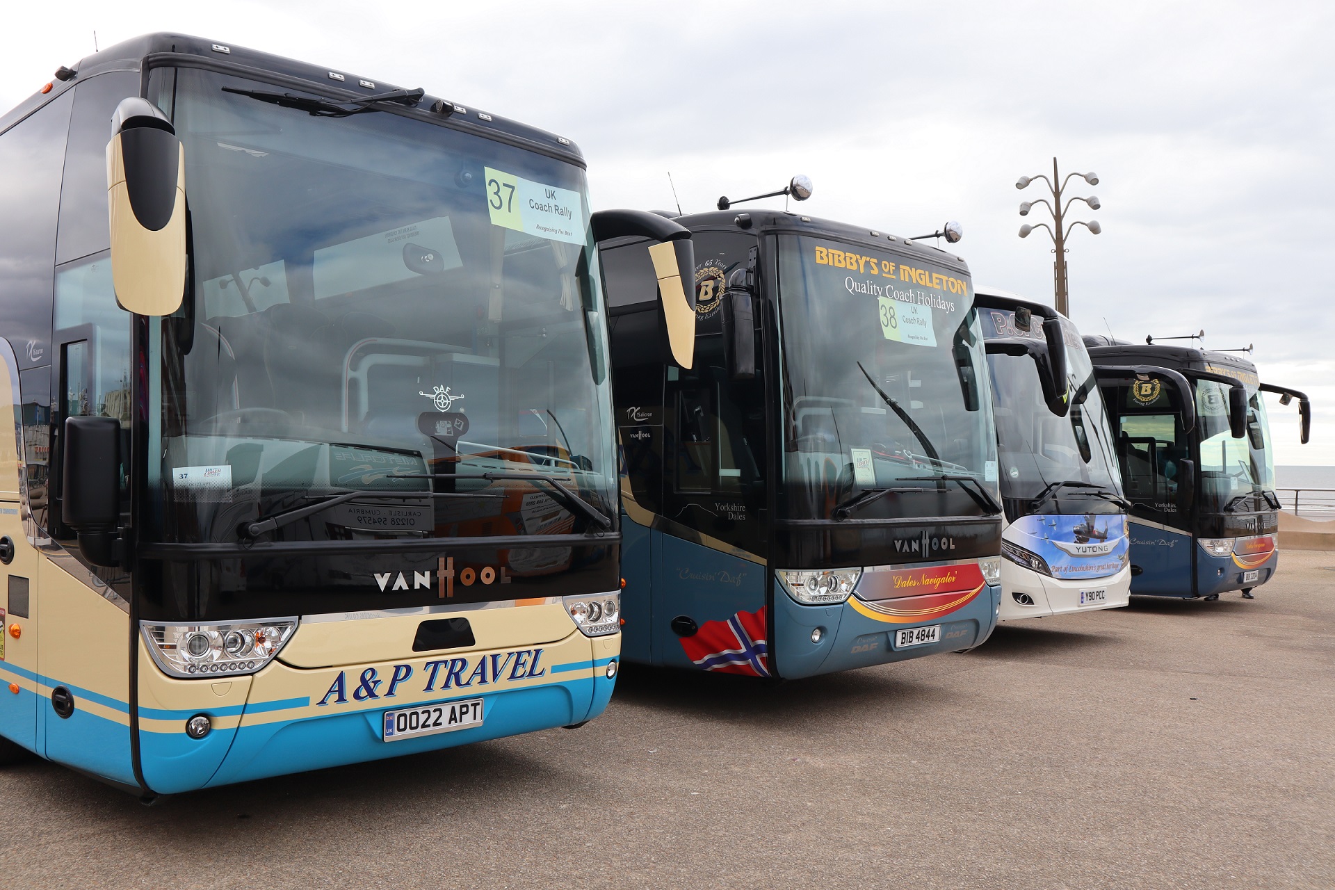 Van Hool line up at 2023 UK Coach Rally