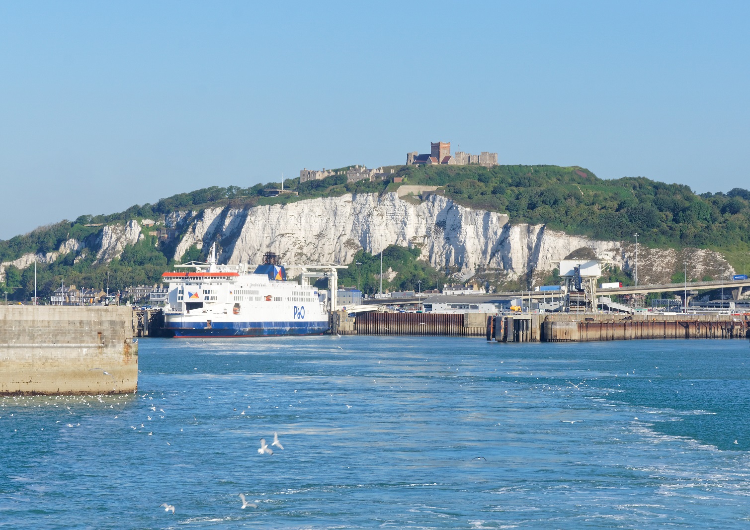 Close eye being kept on coaches at Port of Dover during half term peak