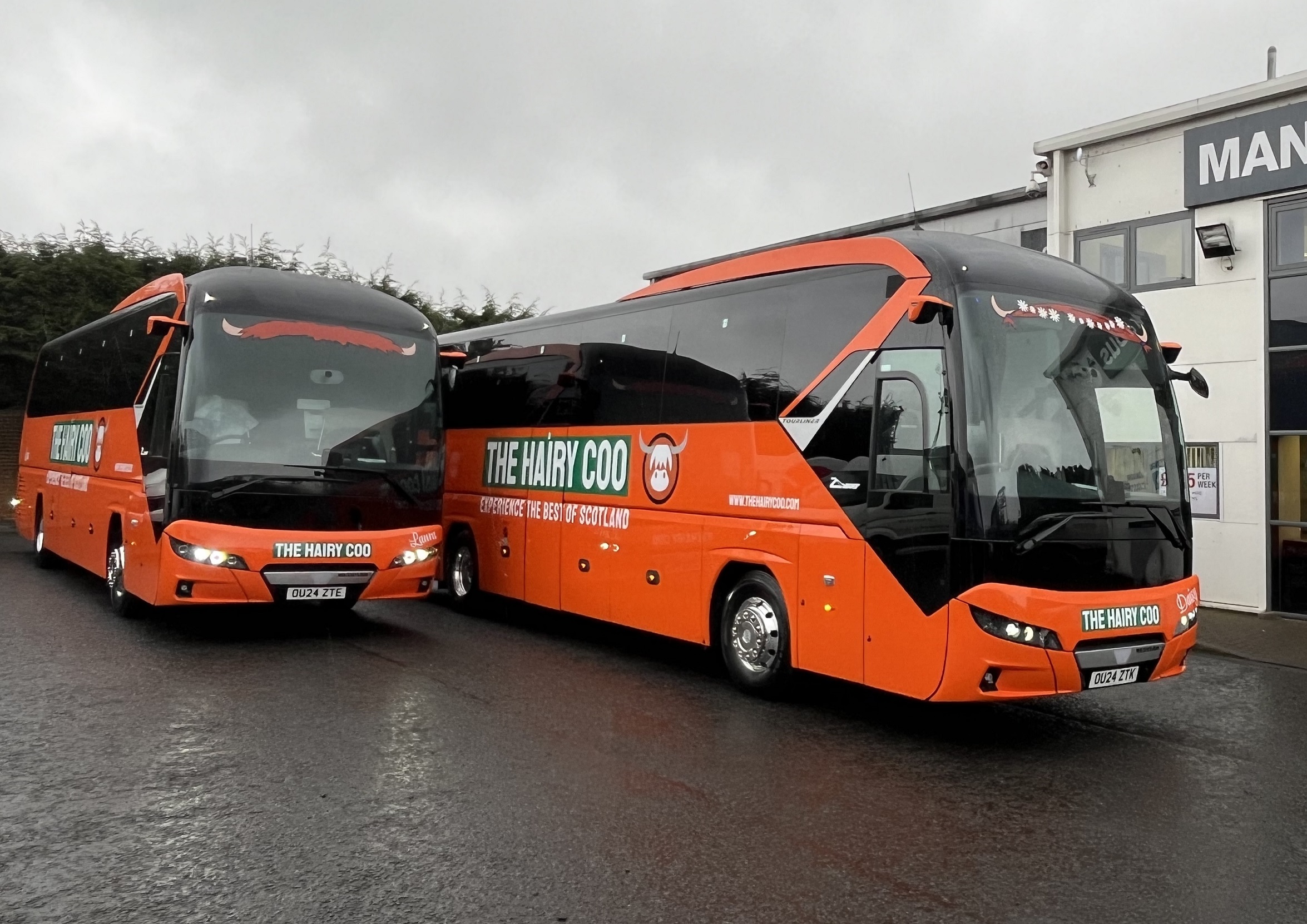Neoplan Tourliner pair for The Hairy Coo