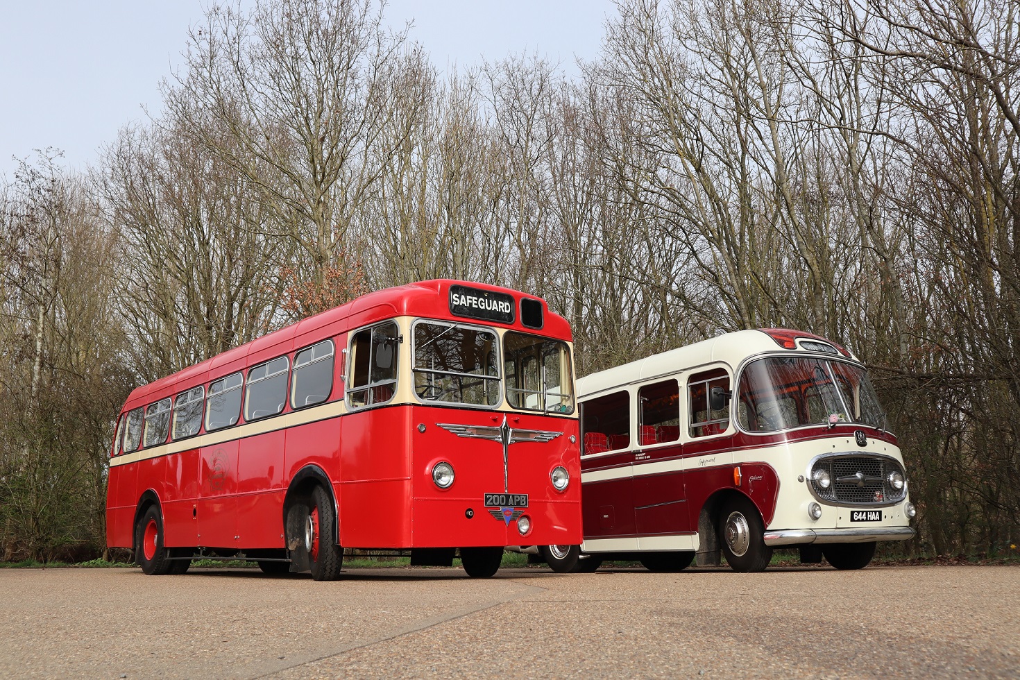 Safeguard Coaches heritage fleet line up