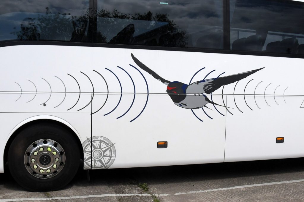 Coach Tours and Travel