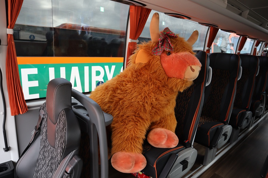 Orange blossom in full flower for Edinburgh operator The Hairy Coo