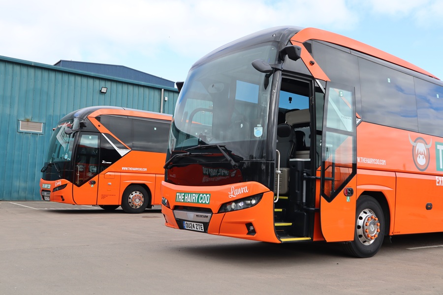 Orange blossom in full flower for Edinburgh operator The Hairy Coo